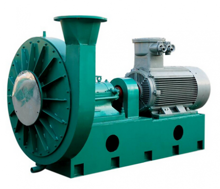 Fan